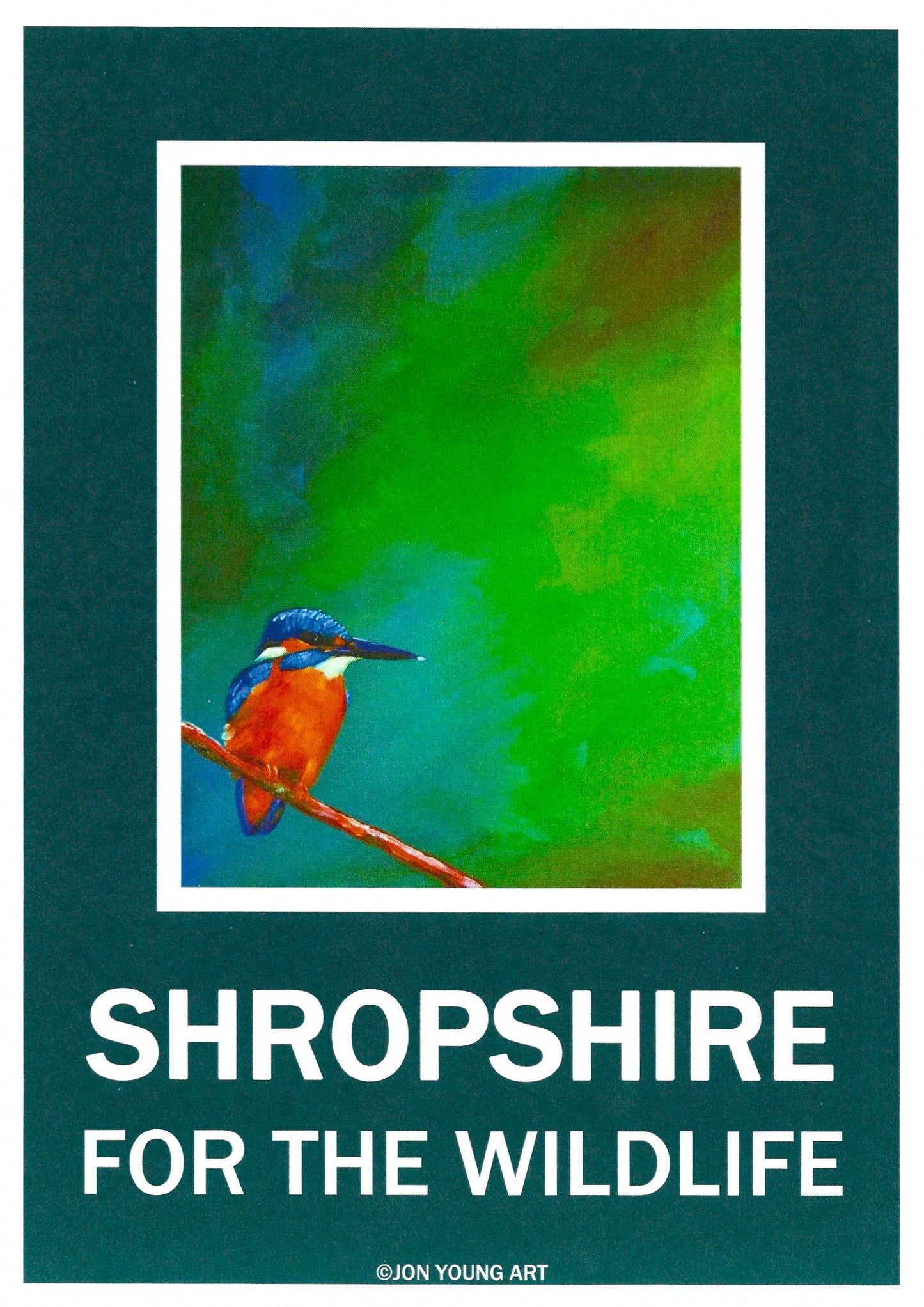 Shropshire for the Wildlife T