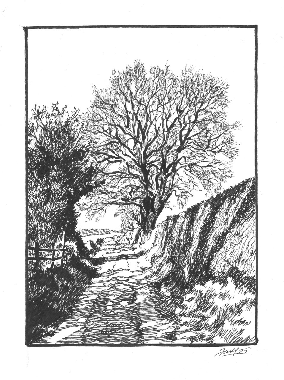 The Road to Elbridge P&I