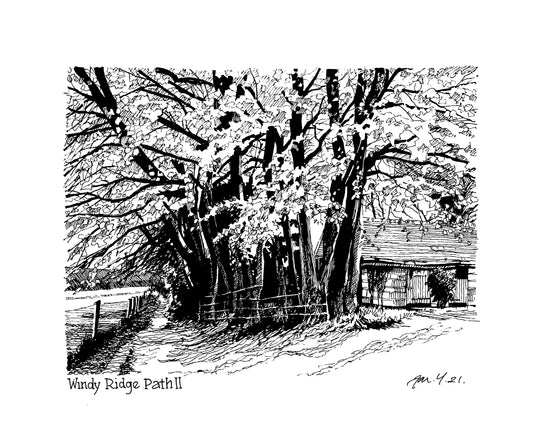 Windy Ridge Path II P&I