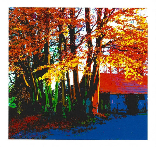 Autumn Beech card