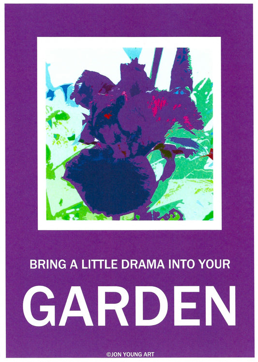 Bring a Little Drama into Your Garden Purple T