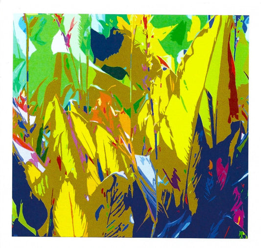 Canna Colours I card