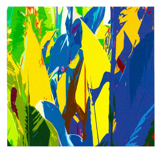 Canna Colours II card