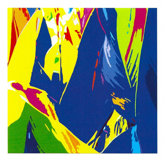 Canna Colours III card