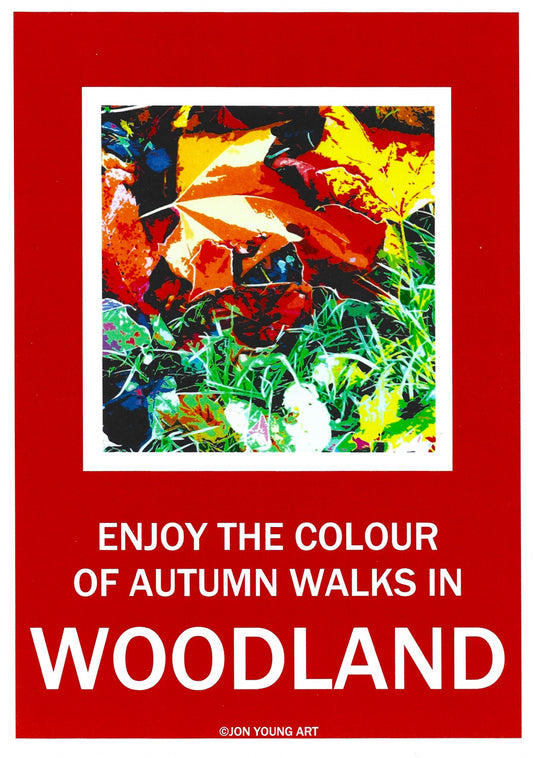 Colours of Autumn Walks  Woodland T