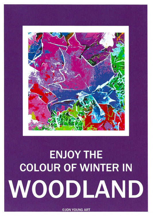 Colour of Winter in Woodland T