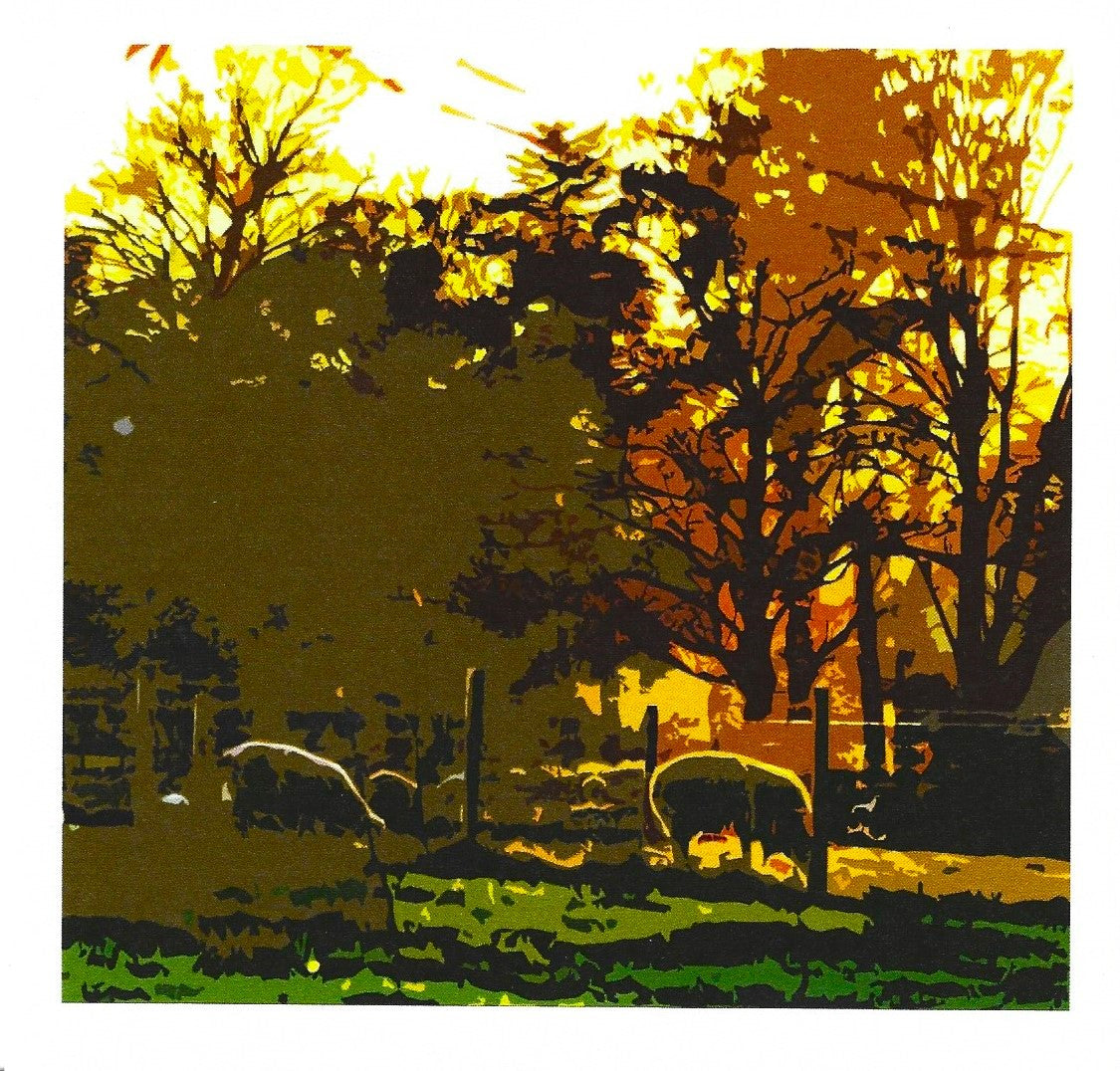 Evening Sheep card