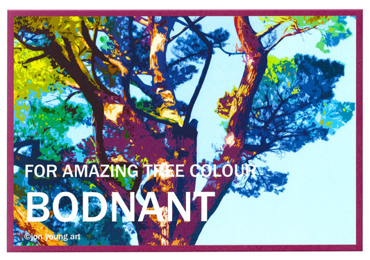 Bodnant for Amazing Tree Colour II T