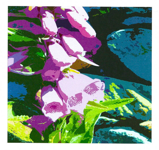 Foxgloves II card