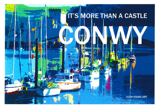 It's More Than a Castle Conwy T