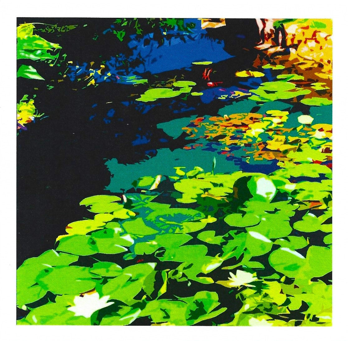 Lilly Pond card