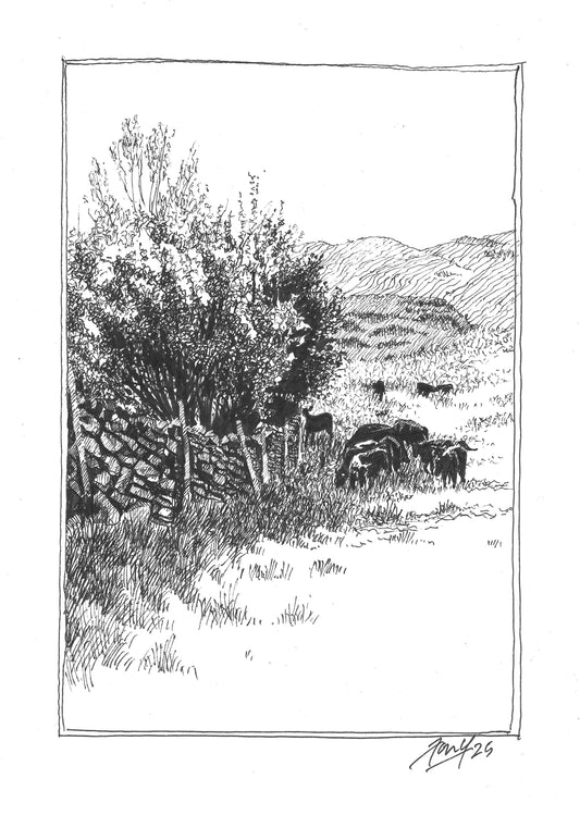 Little Langdale Pastures P&I