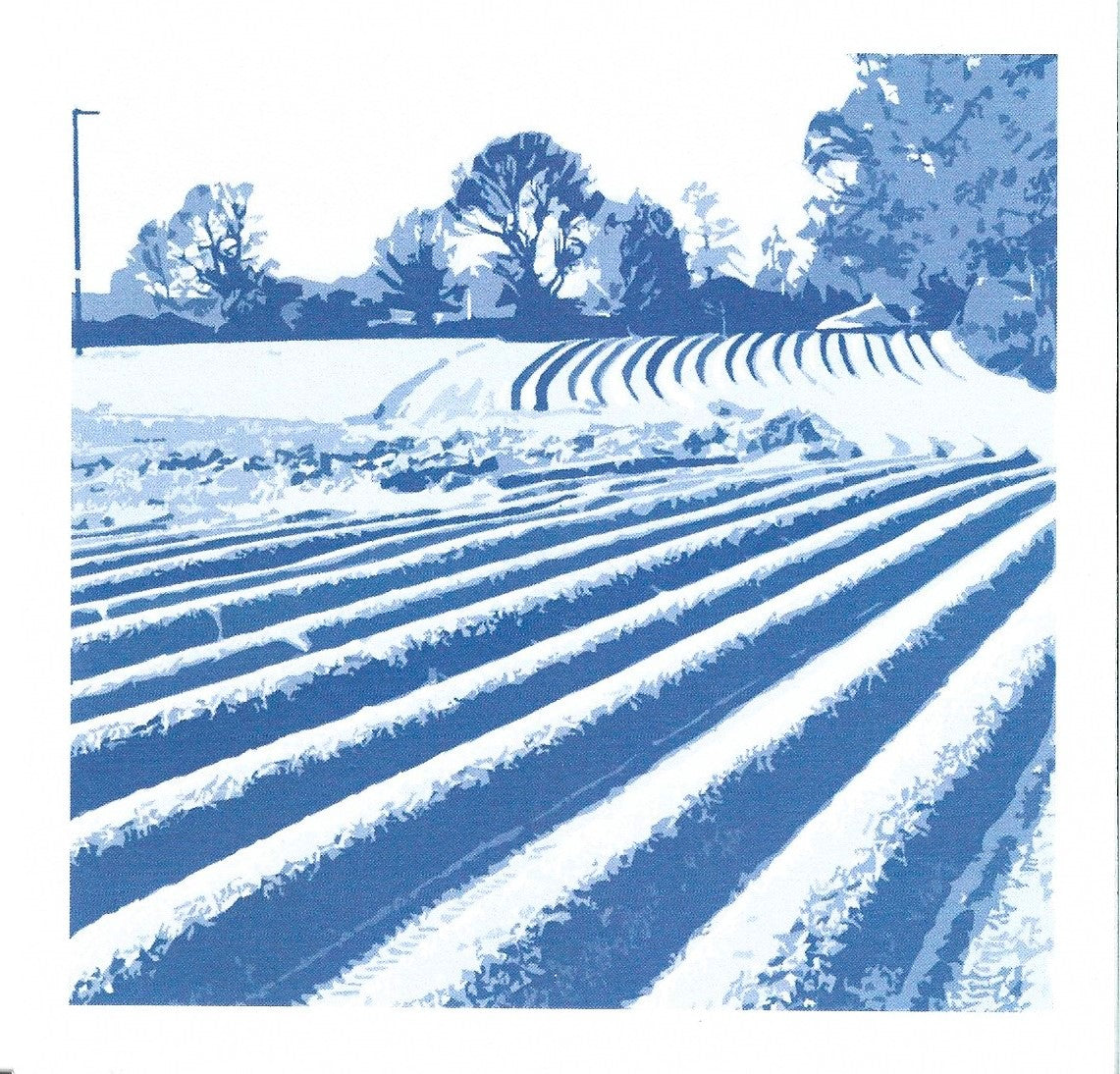 Ploughed Fields card