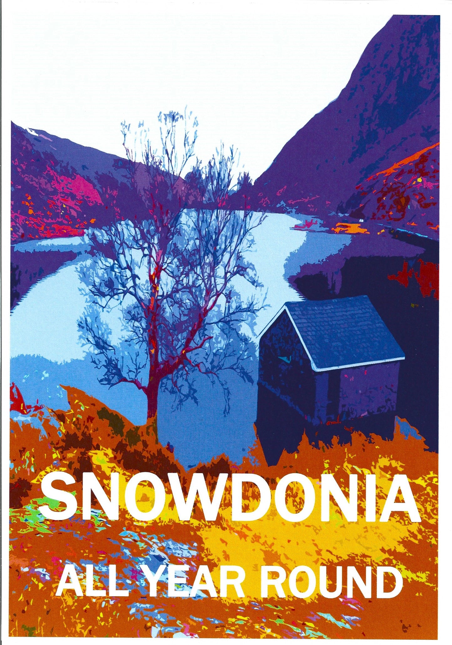 Snowdonia All Year Round T