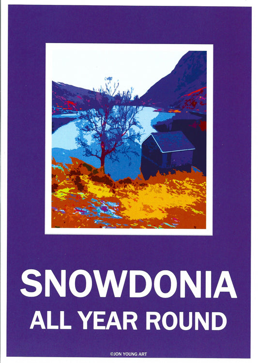 Snowdonia All Year Round II T