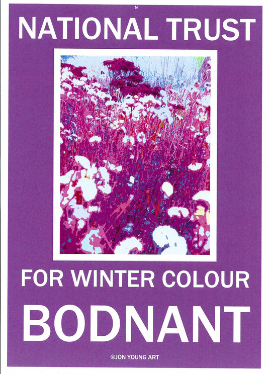 Bodnant for Winter Colour  II T