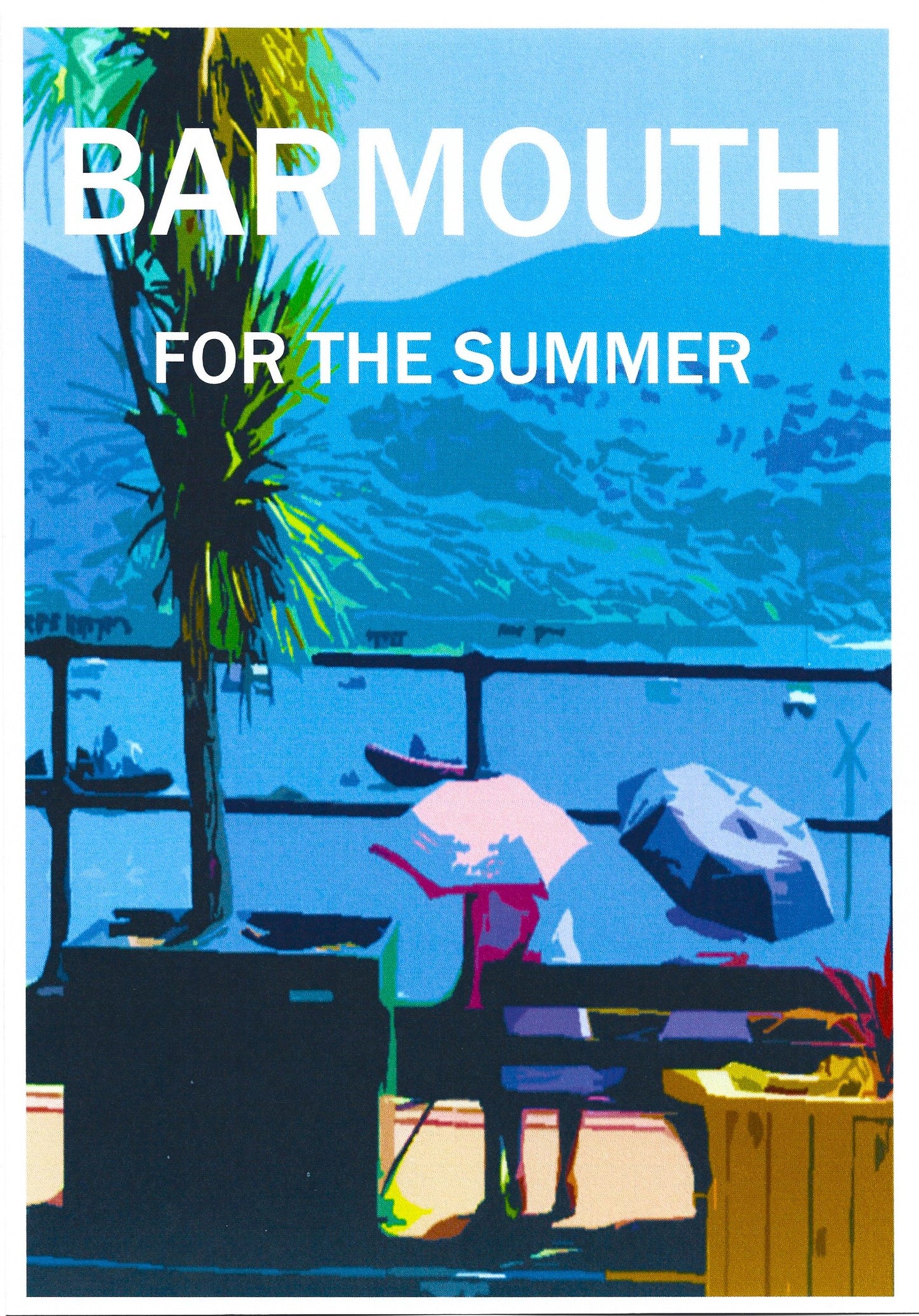 Barmouth for the Summer T