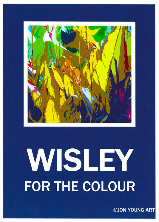 Wisley Colour T