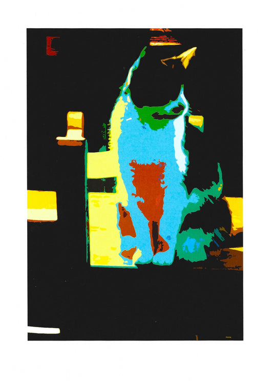 The Coloured Cat II