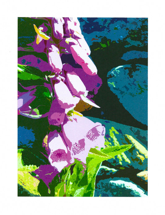 Foxgloves II