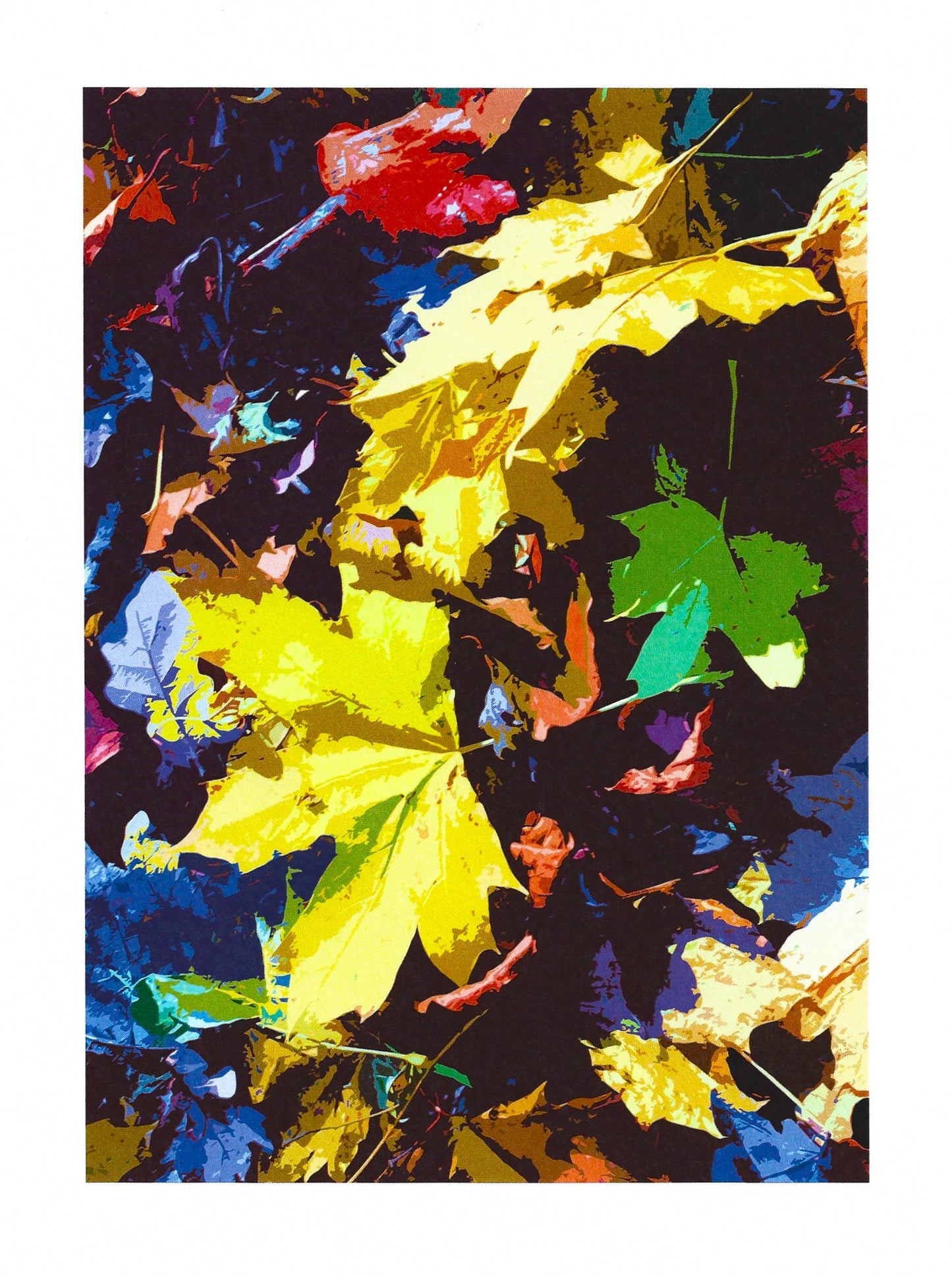 Autumn Leaves II