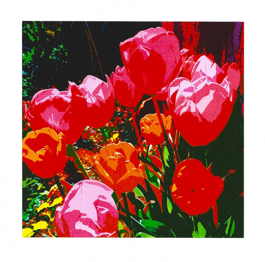 Tulips IV