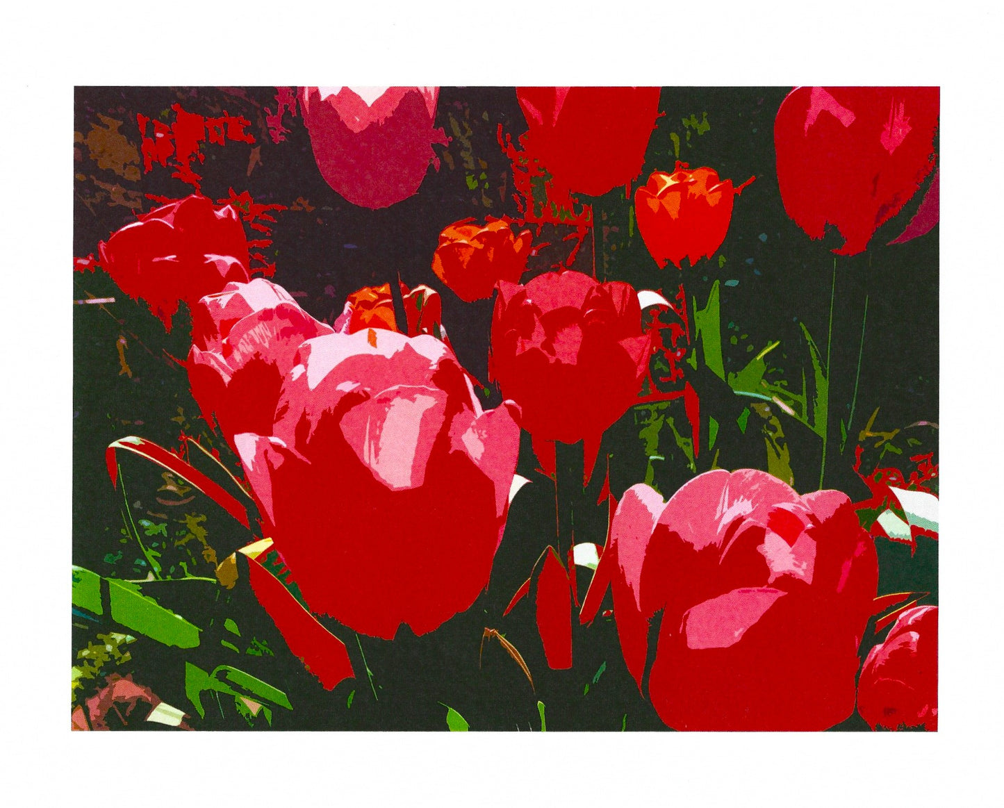 Tulips II