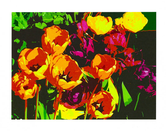 Tulips III