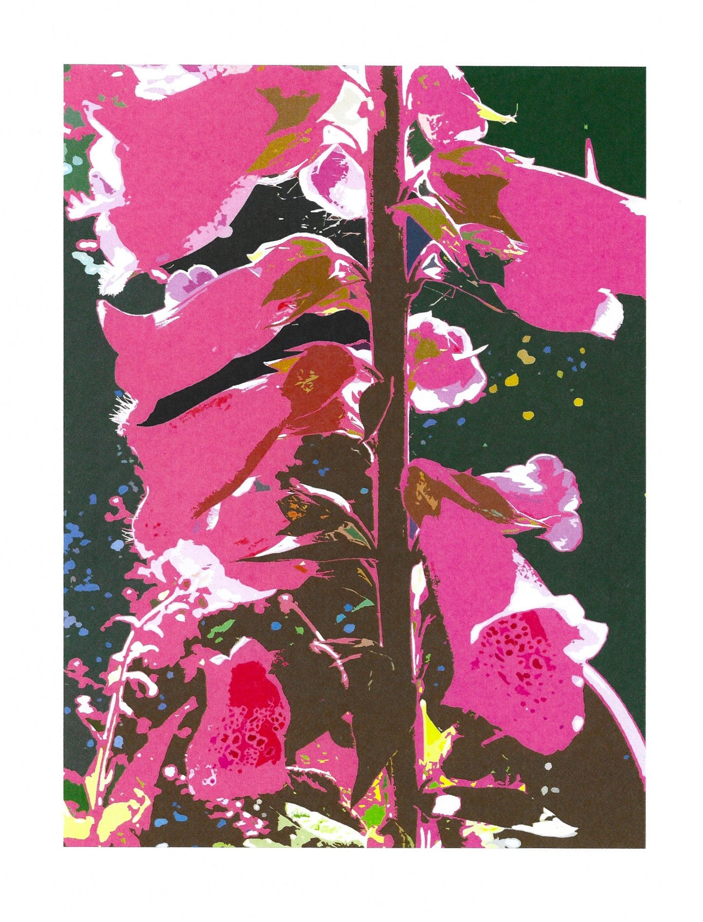 Foxgloves