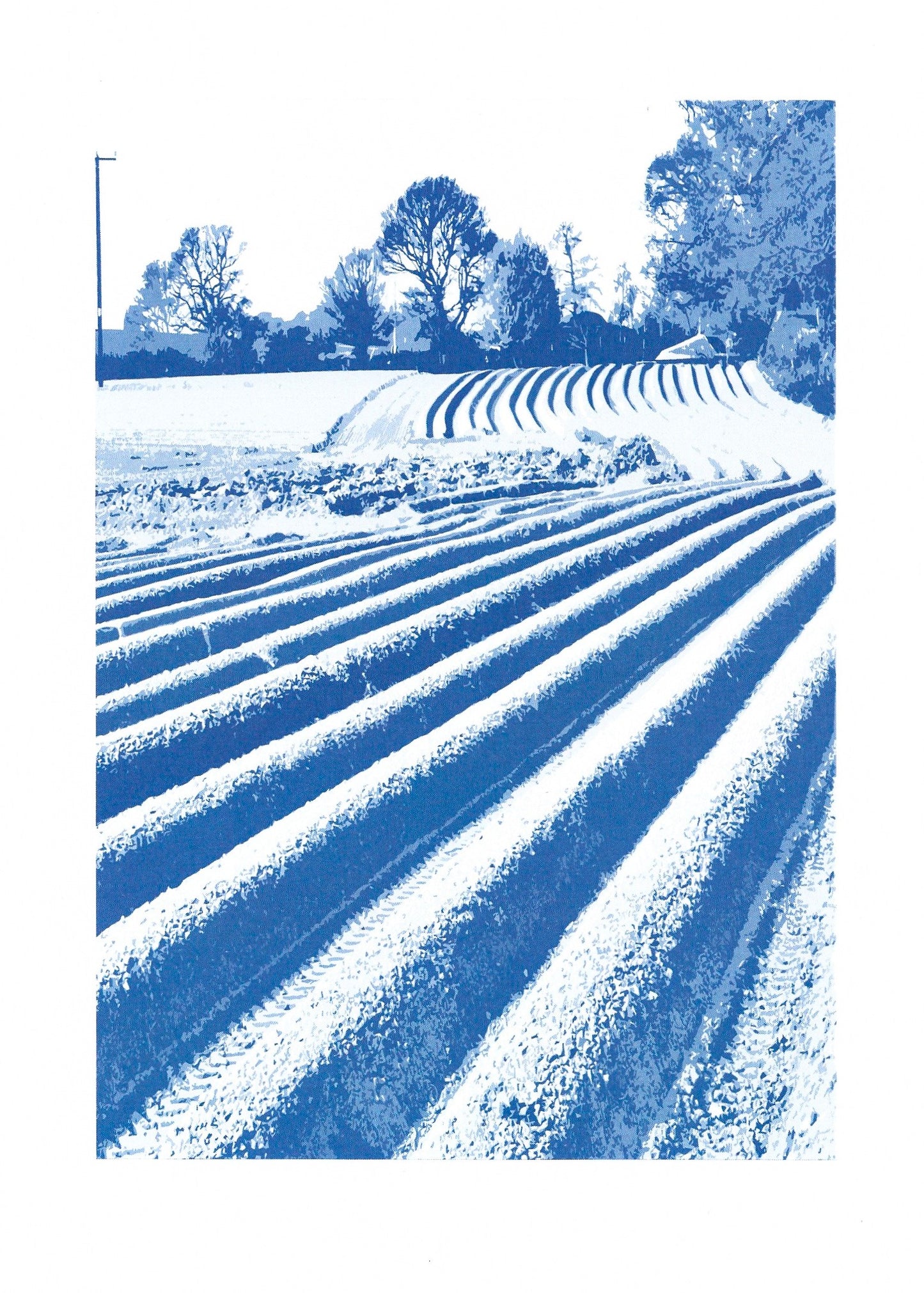 Ploughed Field Blue