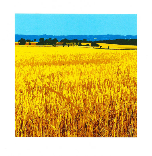 Corn Field Shotatton