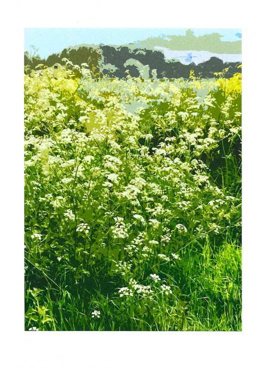 Summer Hedgerow II