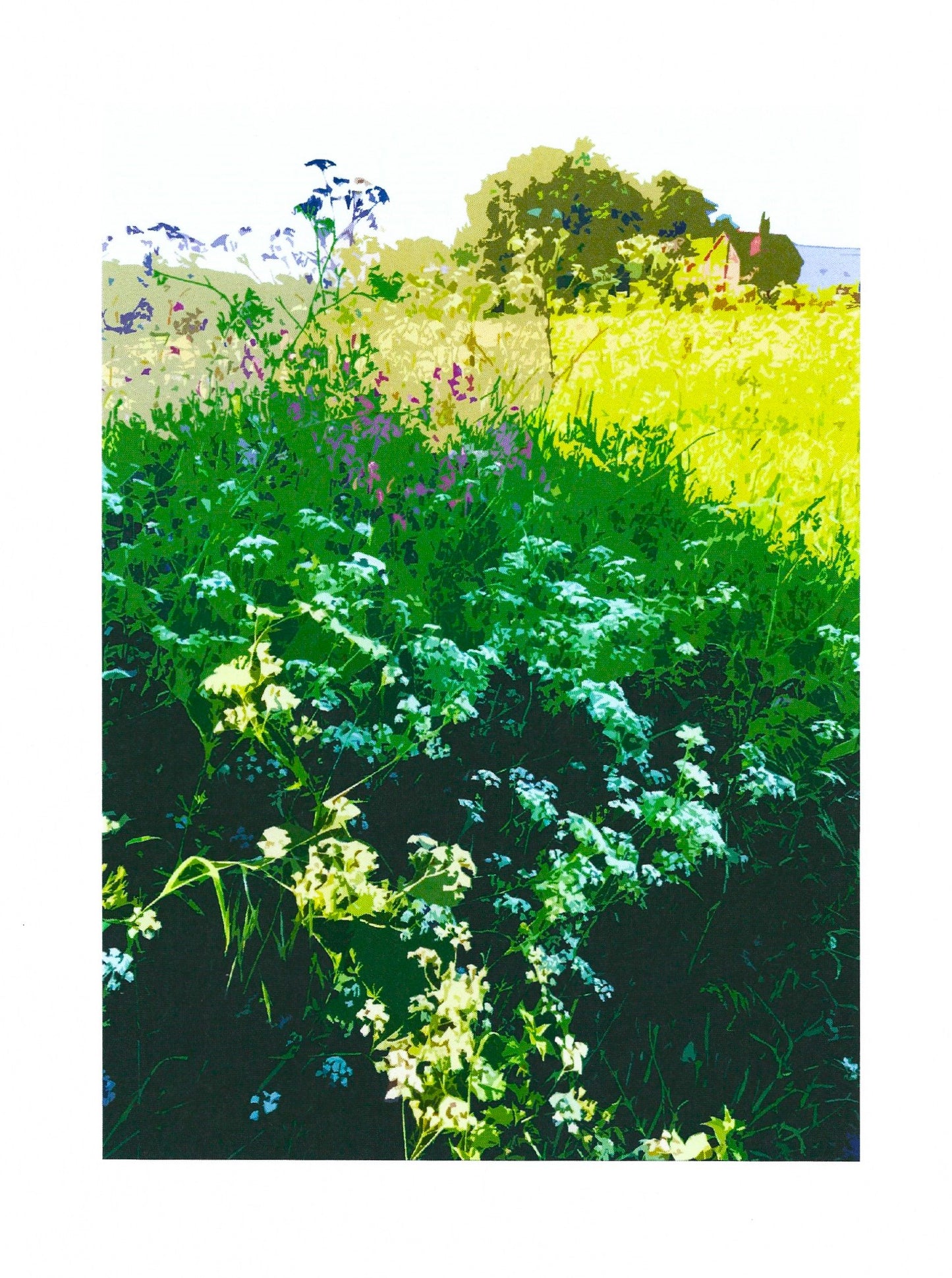 Summer Hedgerow