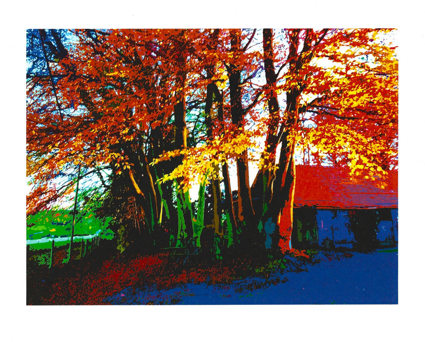 Windy Ridge Path Autumn