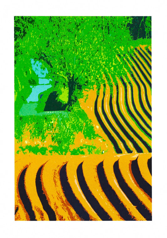 Ploughed Field