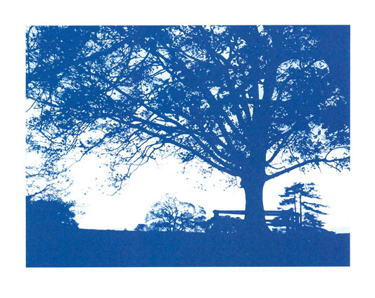 Tedsmore Trees Blue