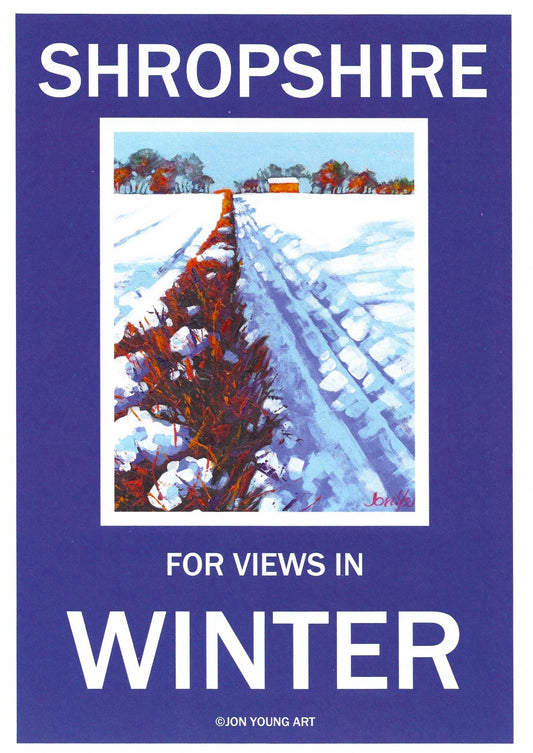 Shropshire Winter Views T