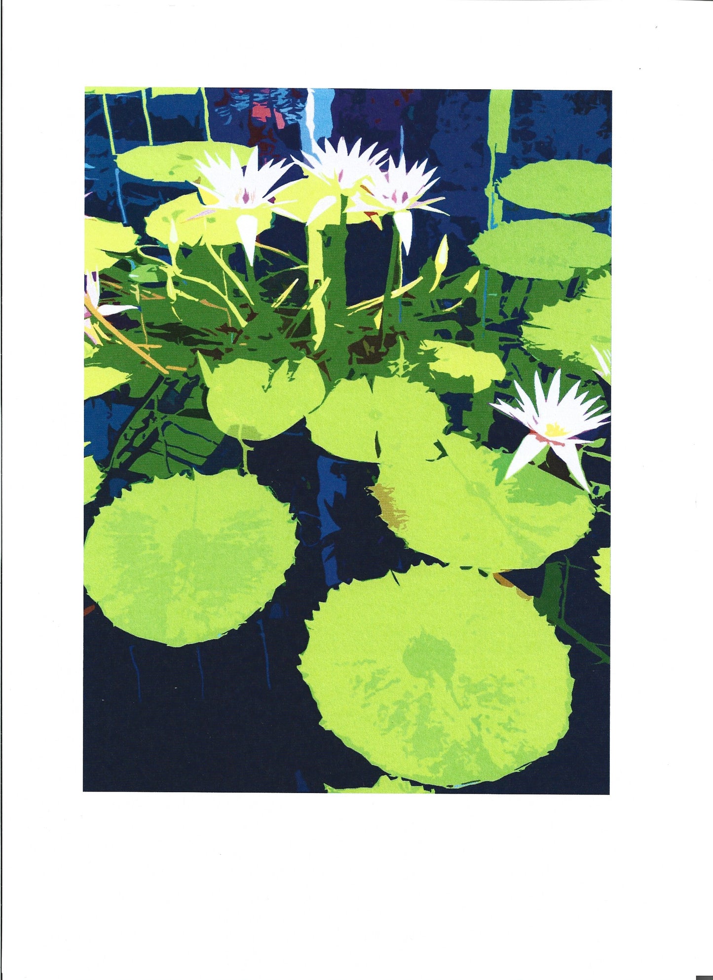 Lilly Pond II