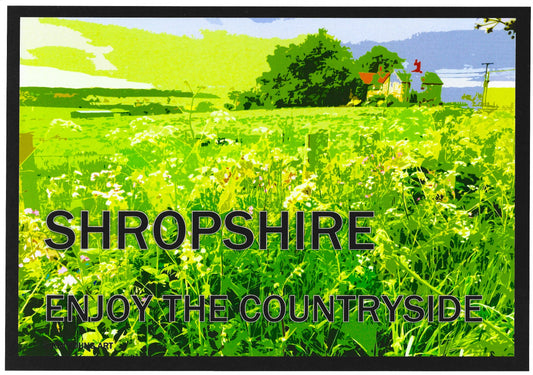 Shropshire Countryside T