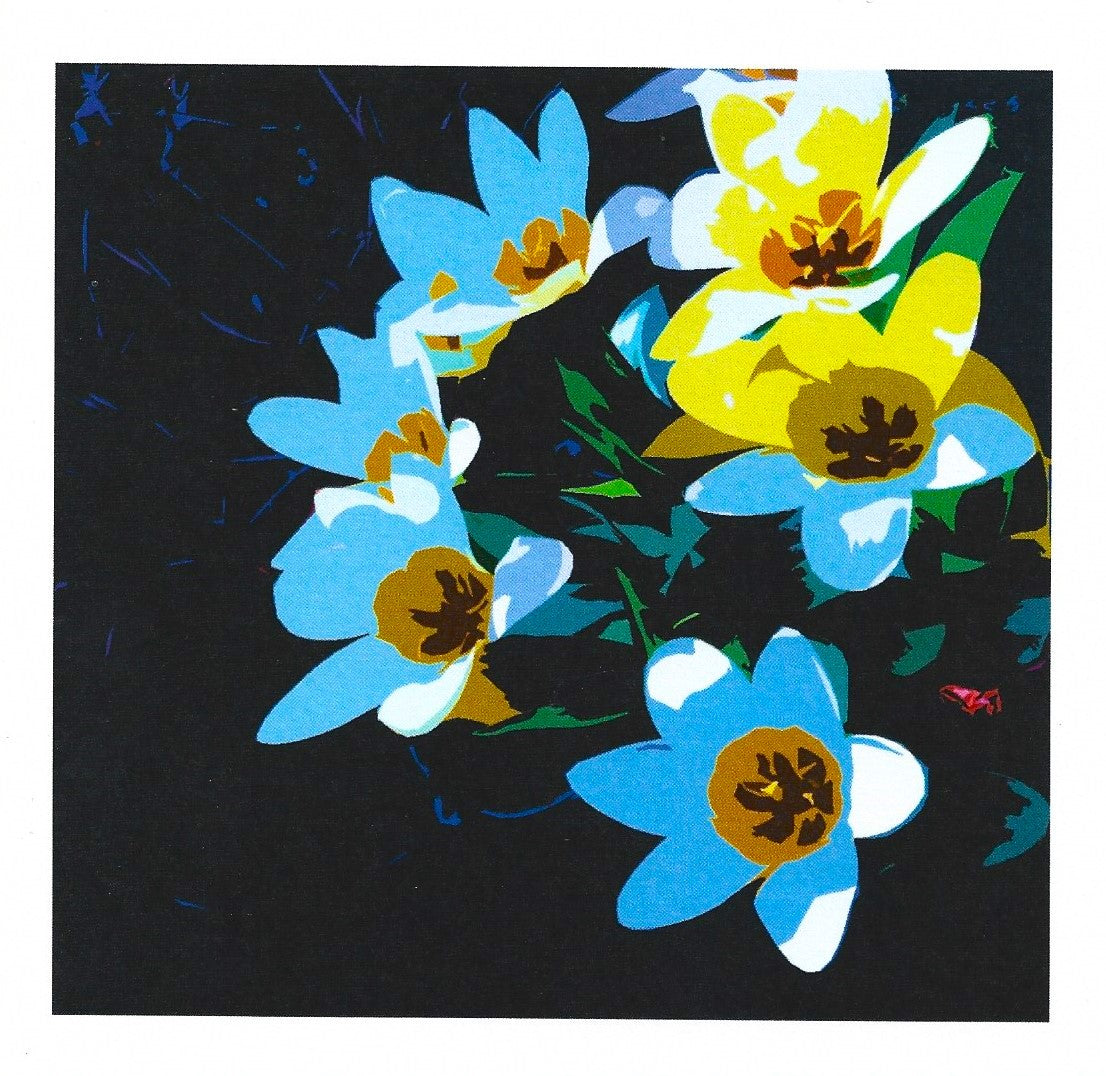 Spring I card