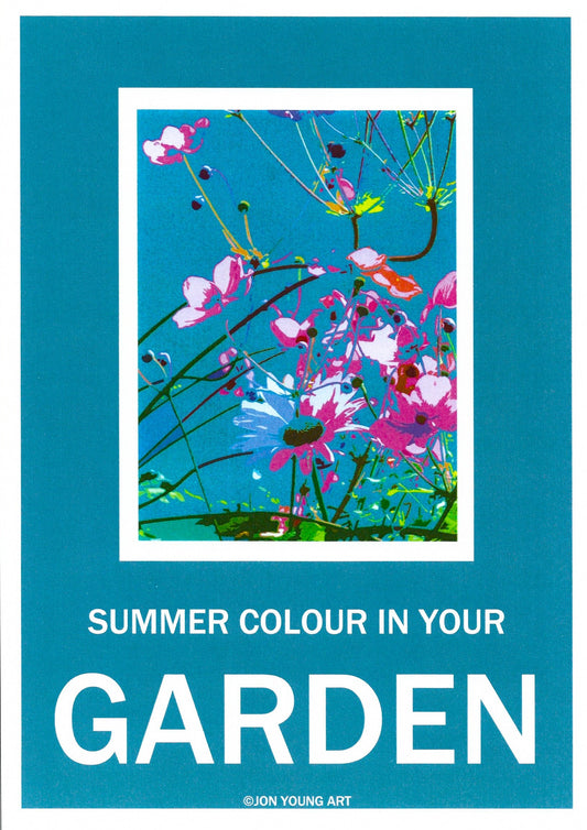 Summer Colour in Your Garden T