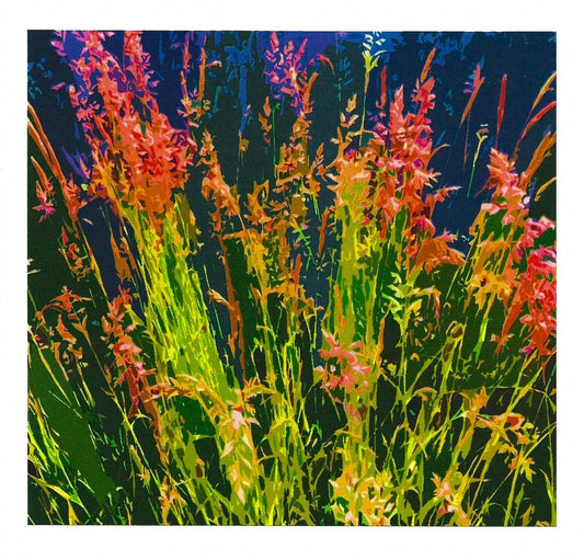 Summer Grasses card