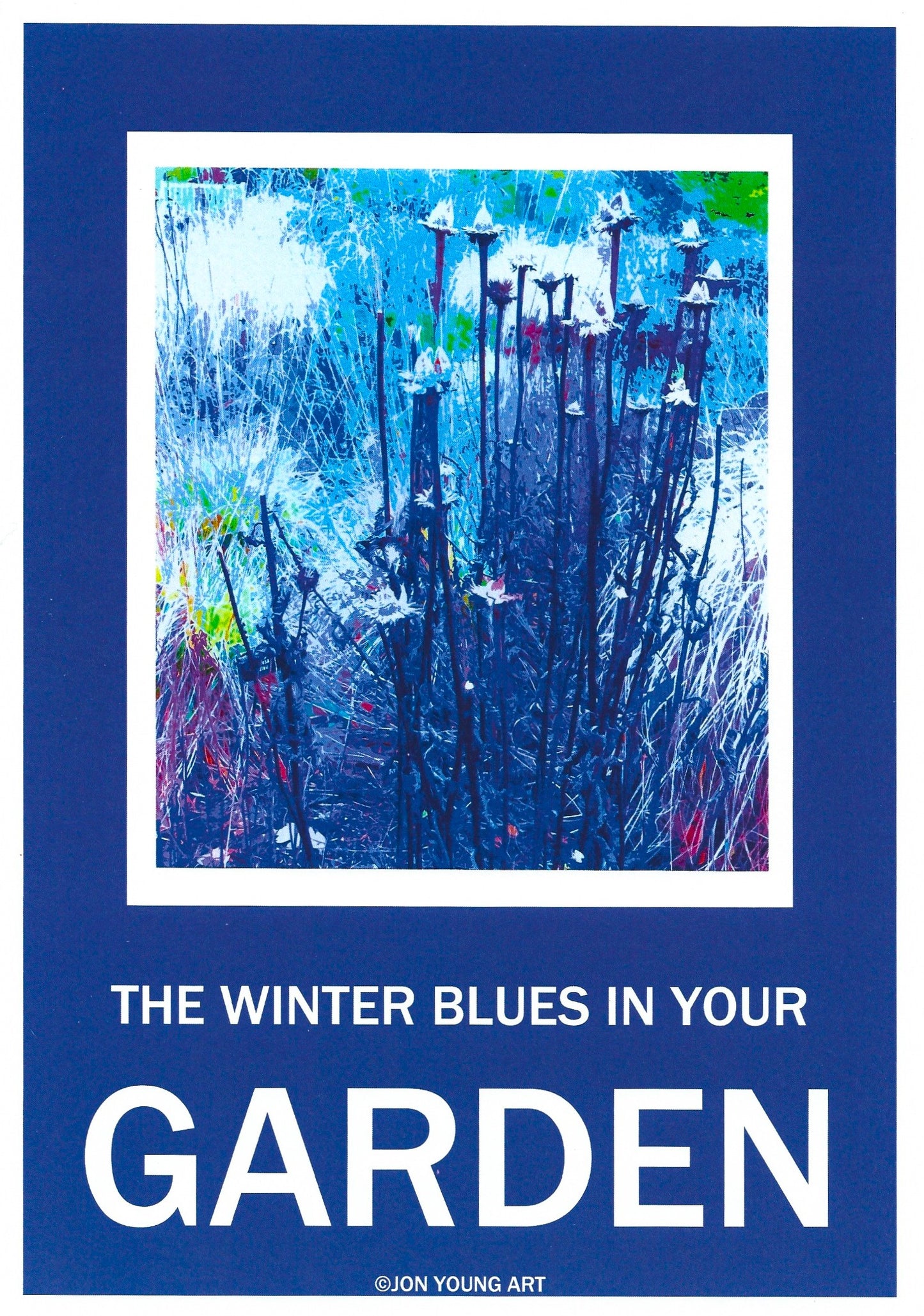 Winter Blues in Your Garden IV T