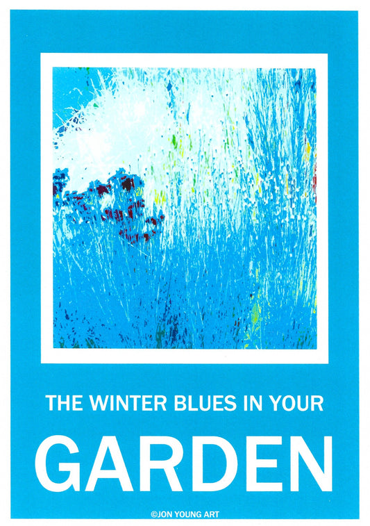 Winter Blues in Your Garden T