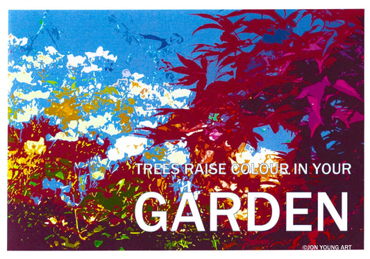 Trees Raise the Colour in Your Garden T