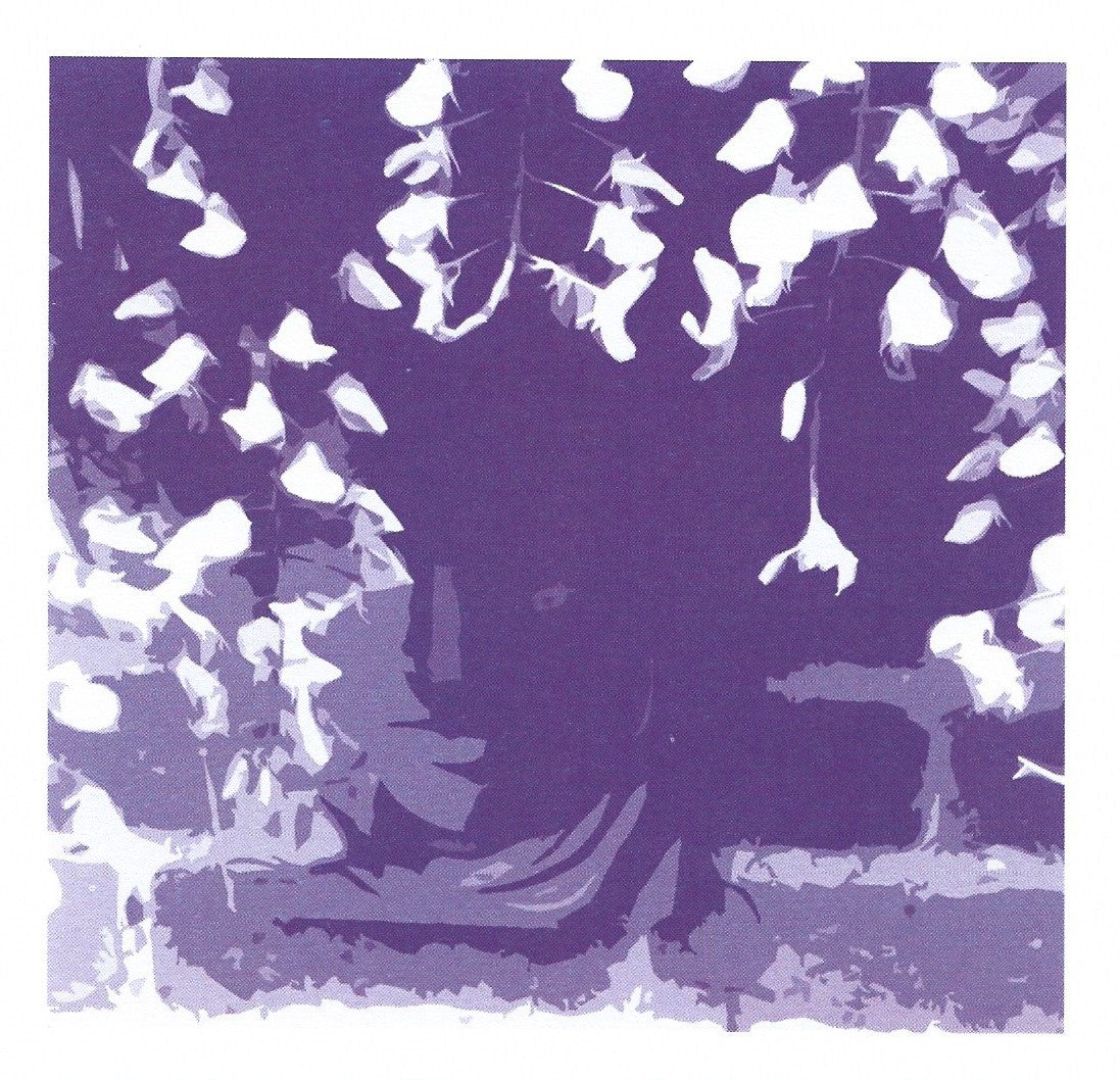 Wisteria I card